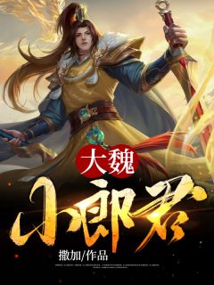 沈少别虐了，再虐变小三沈傅川苏念念无删减+无广告