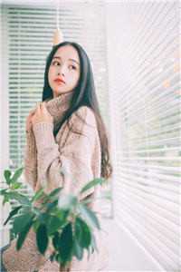 旧爱殆尽，葬于烽火 番外