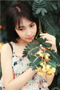 爱恨成殇，春意芳菲全文免费