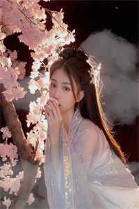陆星言苏瑾月血雾遗落终成空小说