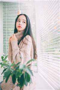 顾南乔纪时晏的小说旧梦不曾温小说阅读