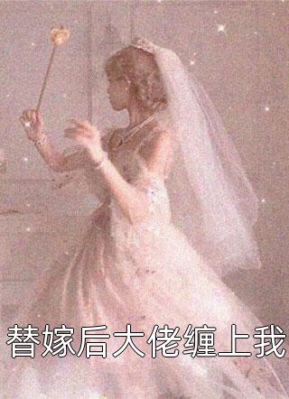 你说不娶殡葬师，我离开你哭什么？傅晏宋月结局+番外