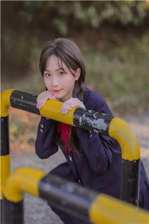 你所愿皆如意小说何芷柔许以寒完结版
