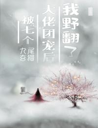 贺景承宋眠的小说错把砂砾当星星阅读