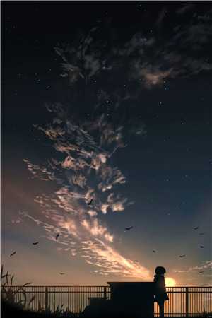 不见明月照君心秦思思苏雲安小说完结版