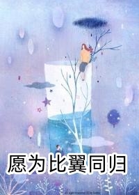 一场荒唐一场梦江映雪秦白夜小说完结版
