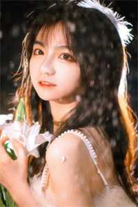 芙蓉敖祯的小说爱如雪落终无痕免费阅读