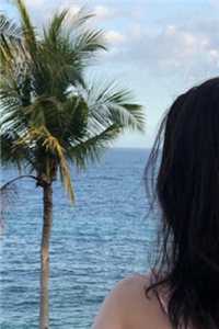陆沉林书意写的小说微风轻拂又见你全文阅读