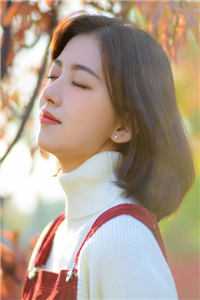 与君初相识，犹如故人归完结版姜小维邓艾