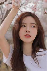 和兄弟穿越星际后，女帝和女上将携娃追夫全文