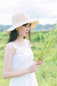 爱已落幕，再无回响全文小说周烨礼可欣最新章节