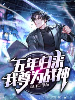 第十年，我决定追风赶月沈怡顾齐鸣全文小说